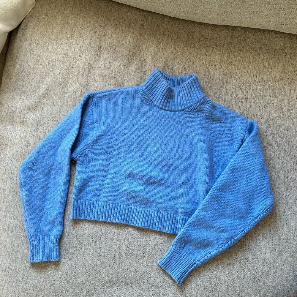 Aritzia Sunday Best Scottie Turtleneck